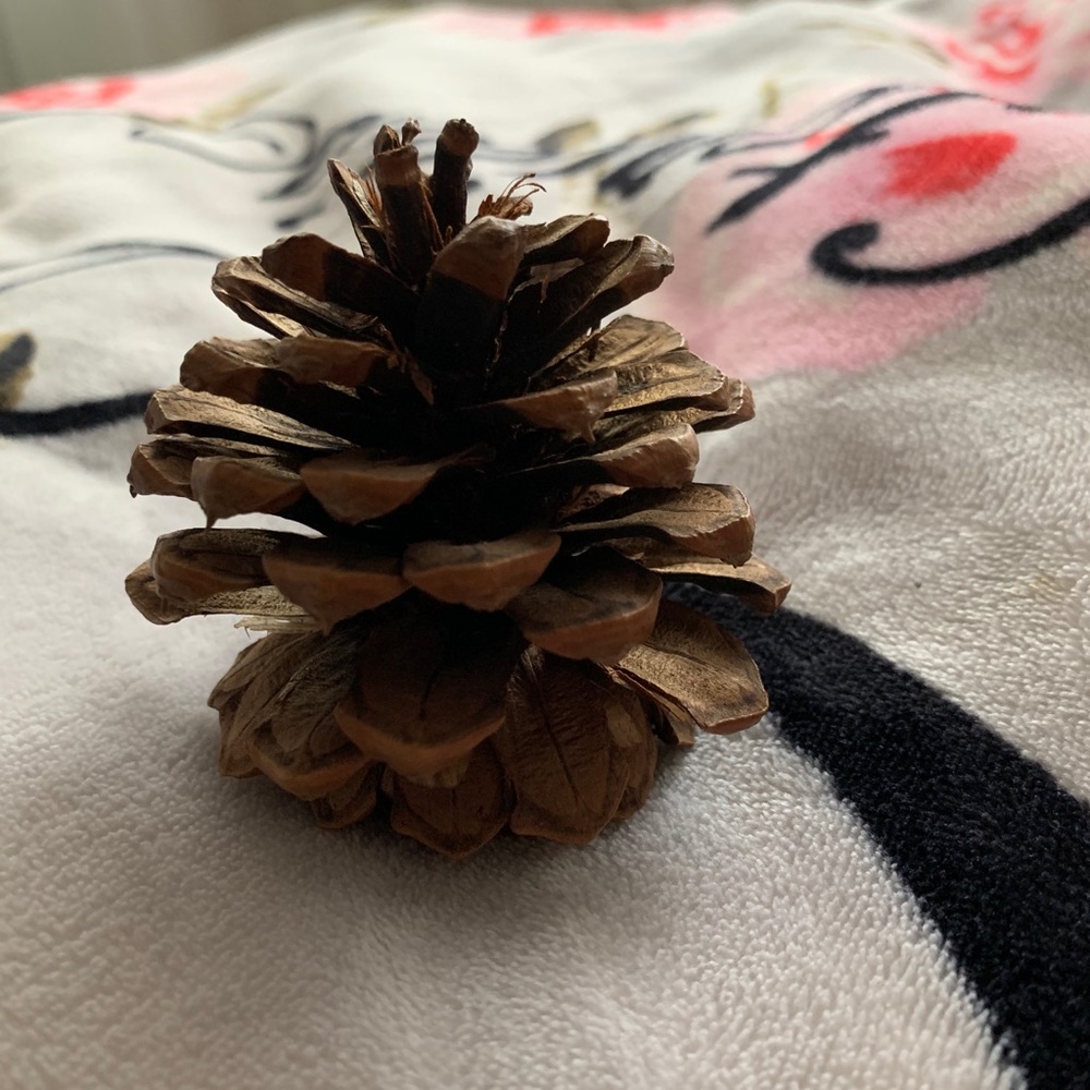 Meet your Posher, Franchele